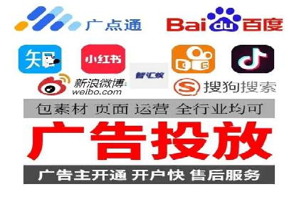 案例解读：网络推广与竞价策略